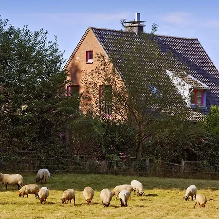 Apartmán Bunte Idylle Rees